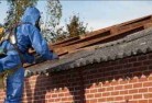 Asbestos inspector