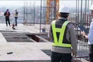 Pest Inspections