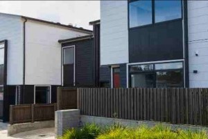 Pest Inspections