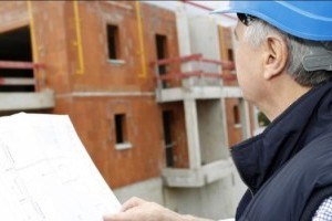 Pest Inspections